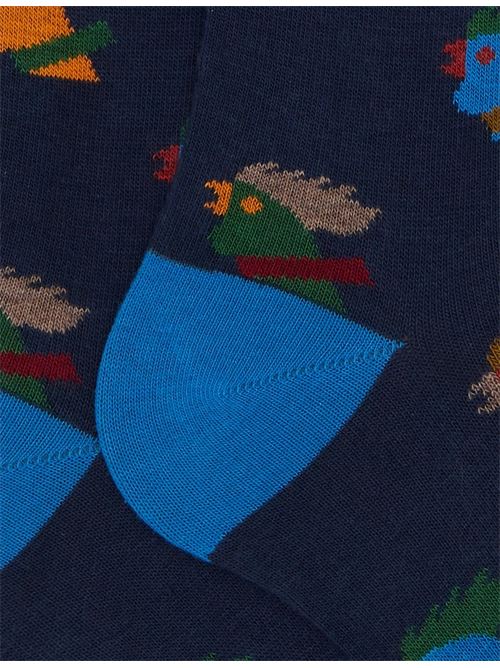 AP51427213177 FANTASIA gallo | AP51427213177 FANTASIA